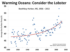 Consider the Lobster